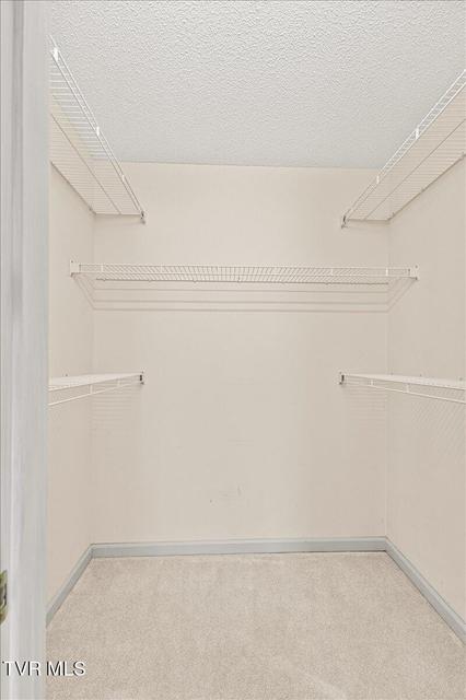 Photo #37: 3 Shelldrake Court