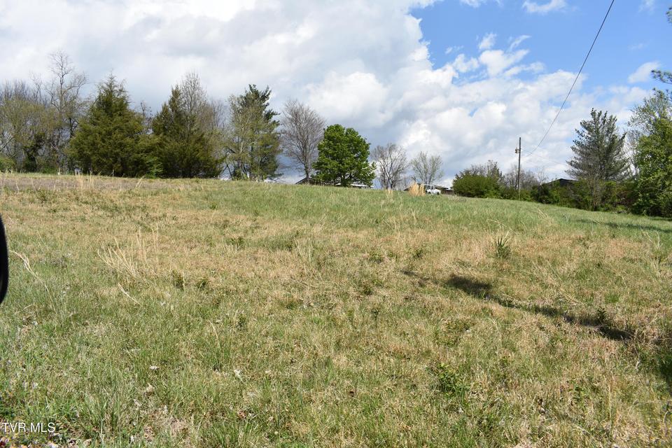 Photo #5: Tbd Eedmont Court