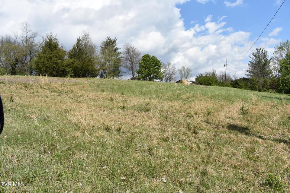 Photo #6: Tbd Eedmont Court