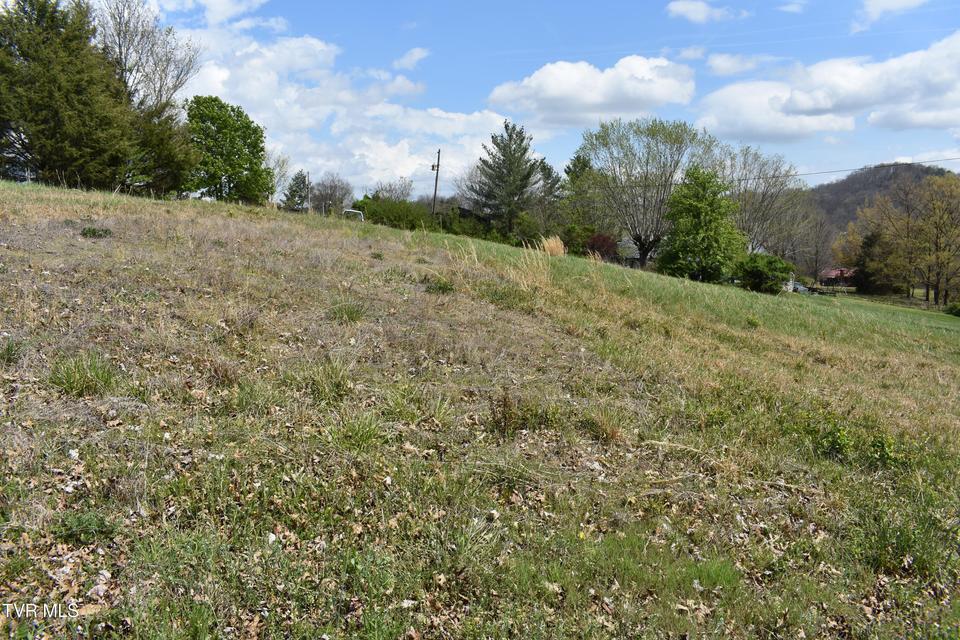 Photo #7: Tbd Eedmont Court