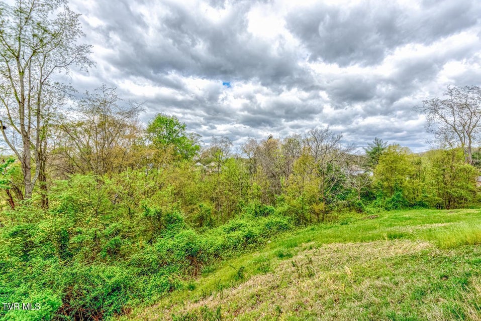 Photo #6: Tbd Cole Lane