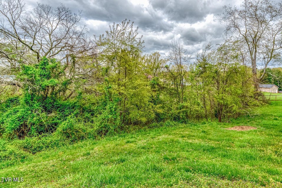 Photo #8: Tbd Cole Lane