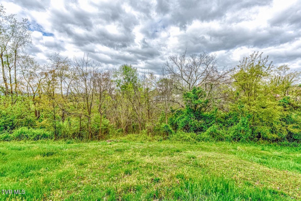 Photo #9: Tbd Cole Lane