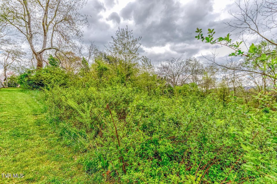 Photo #10: Tbd Cole Lane