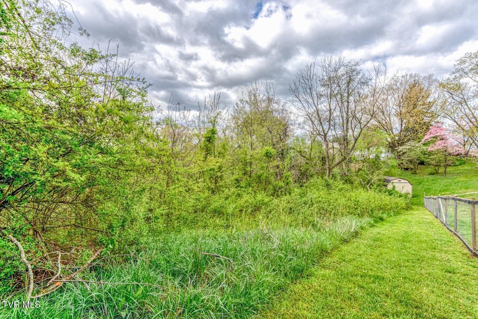 Photo #11: Tbd Cole Lane