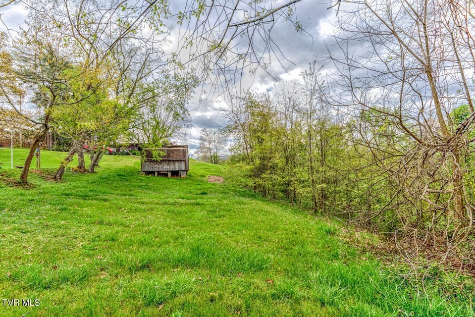 Photo #12: Tbd Cole Lane