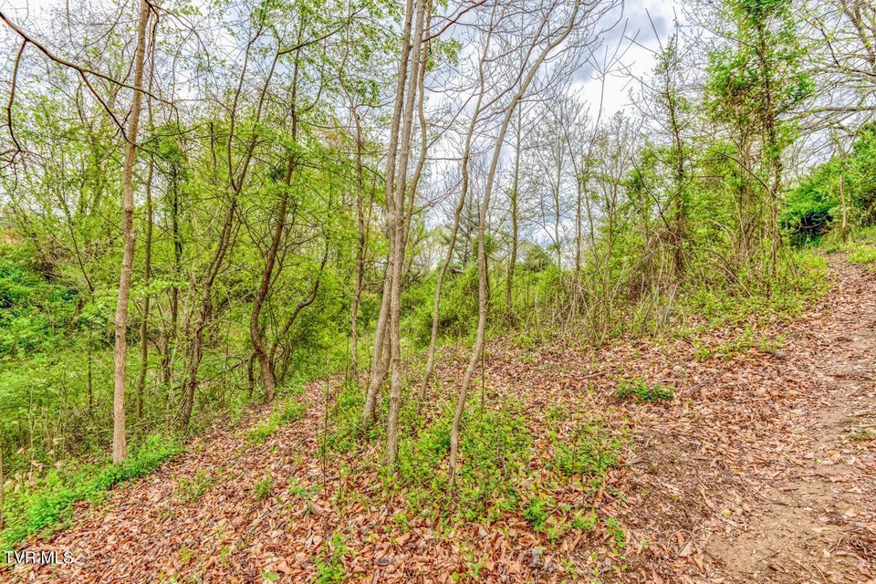 Photo #13: Tbd Cole Lane