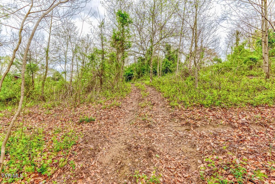 Photo #14: Tbd Cole Lane