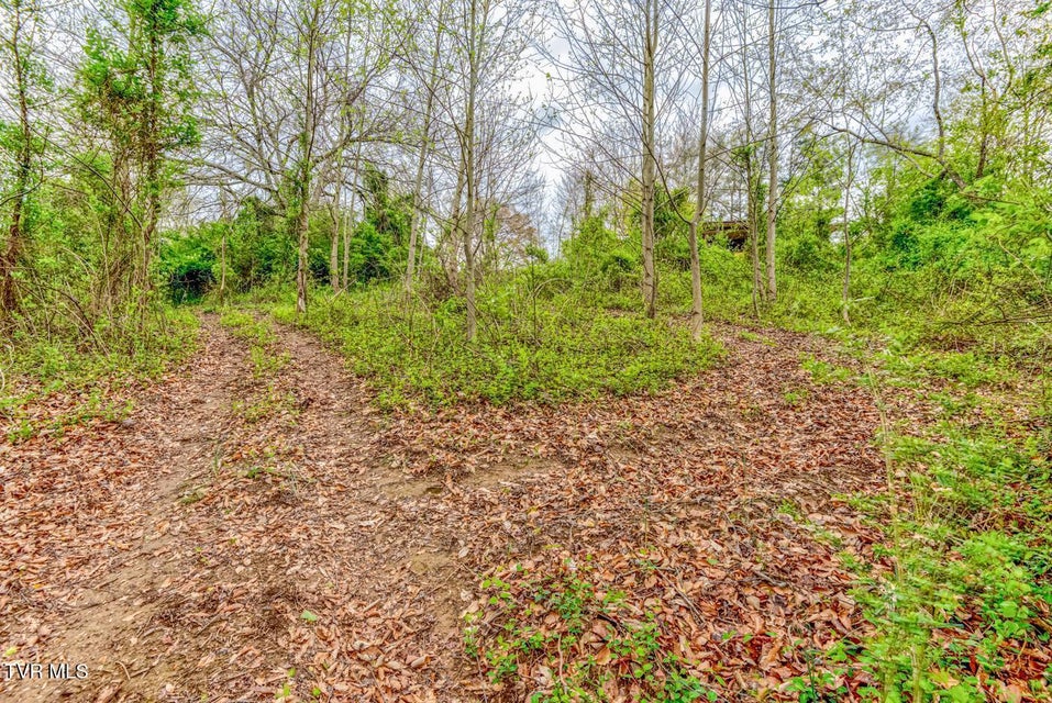 Photo #15: Tbd Cole Lane