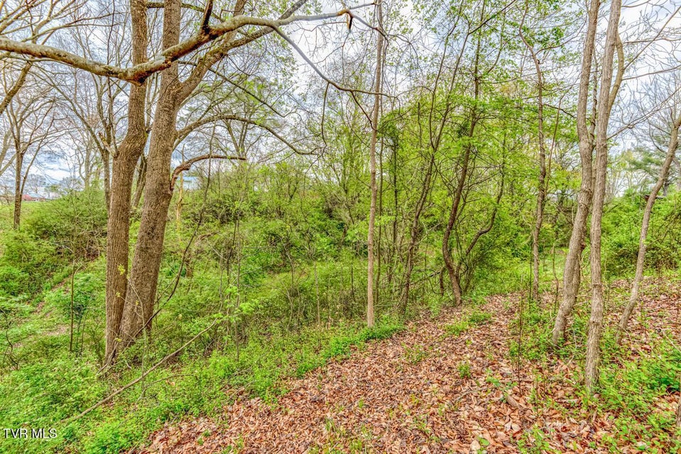 Photo #16: Tbd Cole Lane