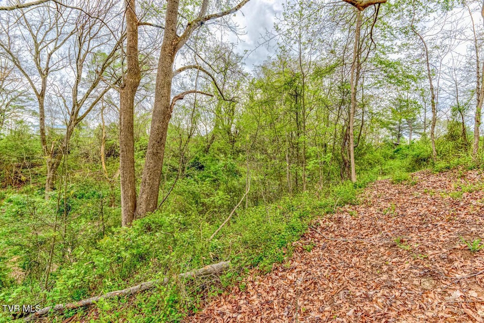 Photo #17: Tbd Cole Lane