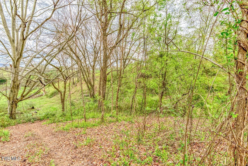 Photo #18: Tbd Cole Lane