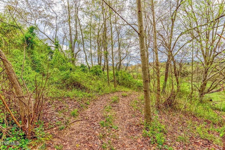 Photo #19: Tbd Cole Lane