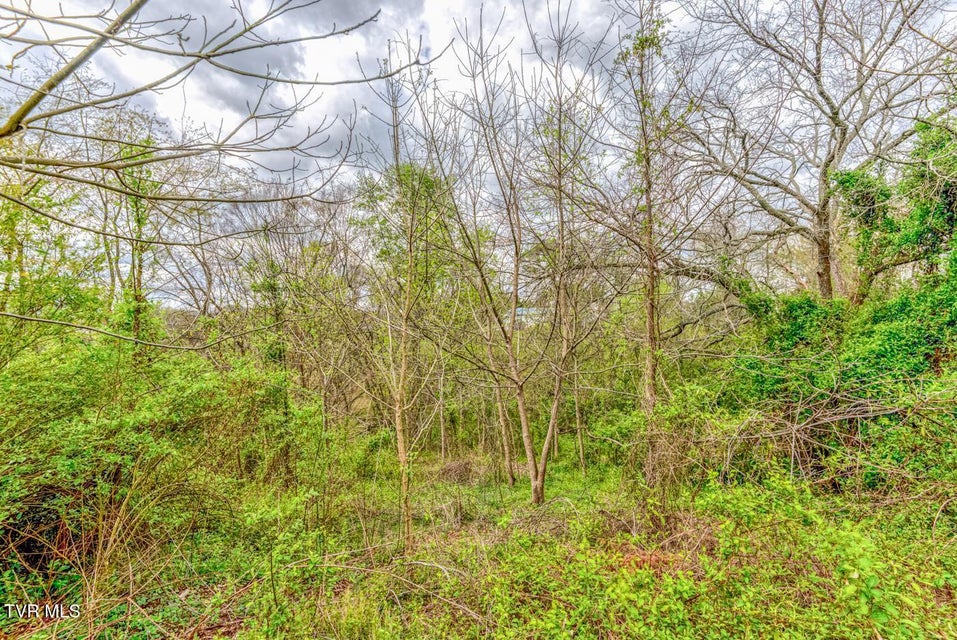 Photo #21: Tbd Cole Lane