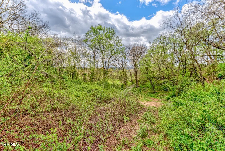 Photo #22: Tbd Cole Lane