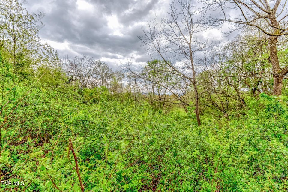 Photo #23: Tbd Cole Lane