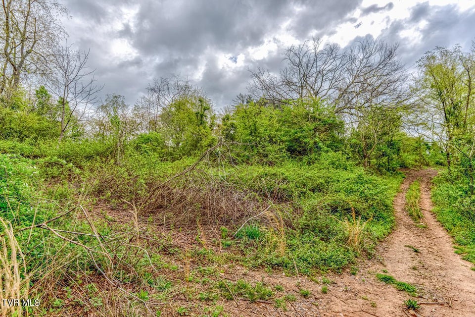 Photo #24: Tbd Cole Lane