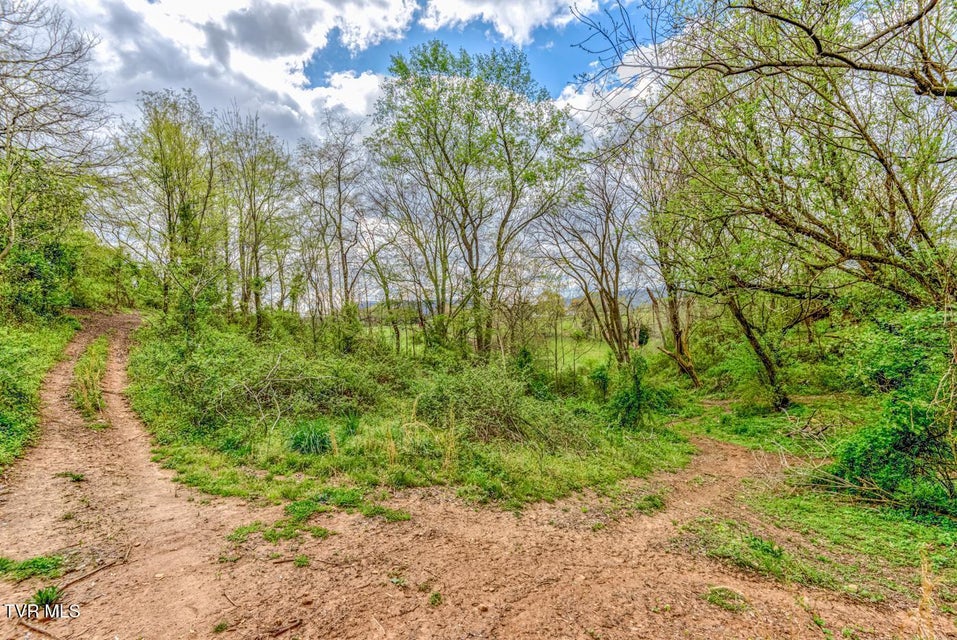 Photo #25: Tbd Cole Lane