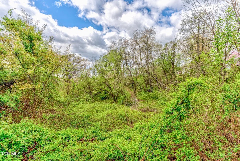 Photo #26: Tbd Cole Lane