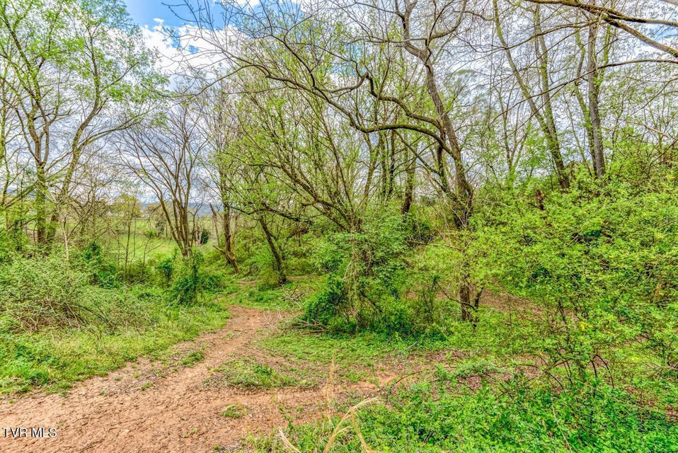 Photo #27: Tbd Cole Lane