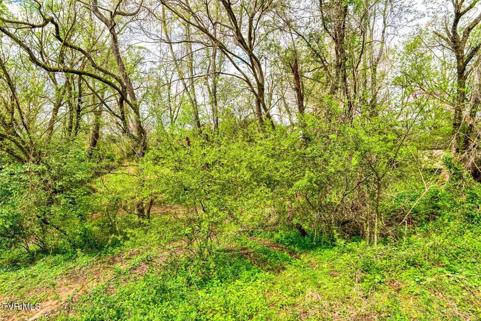 Photo #28: Tbd Cole Lane