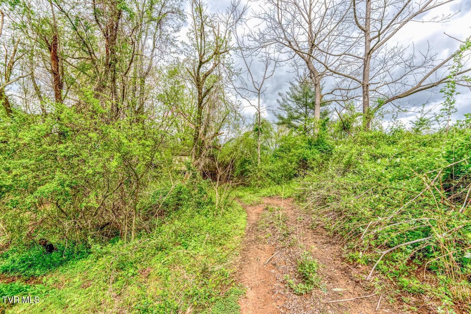 Photo #29: Tbd Cole Lane