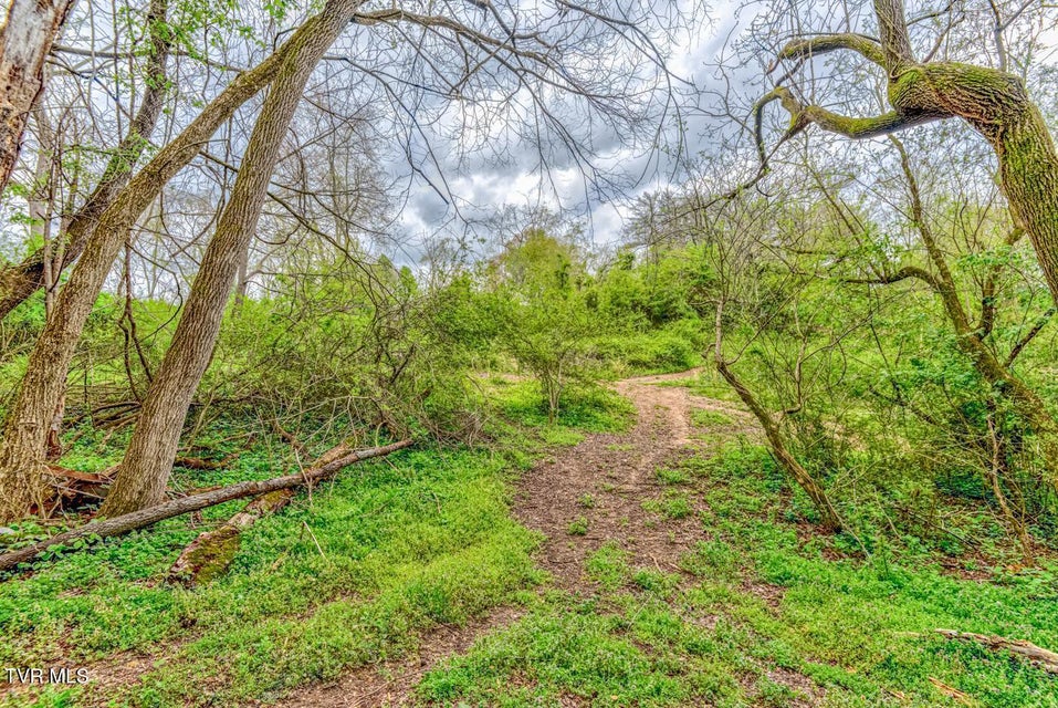 Photo #30: Tbd Cole Lane