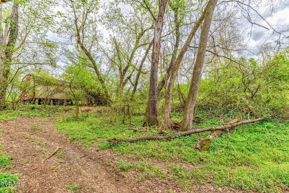 Photo #31: Tbd Cole Lane