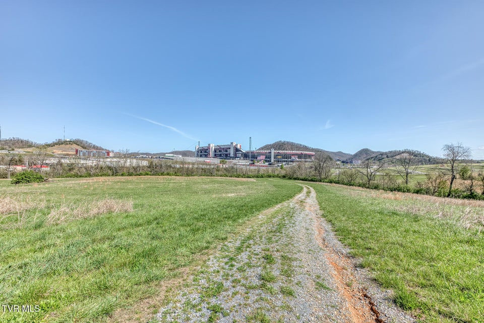 Photo #11: 191 White Top Road