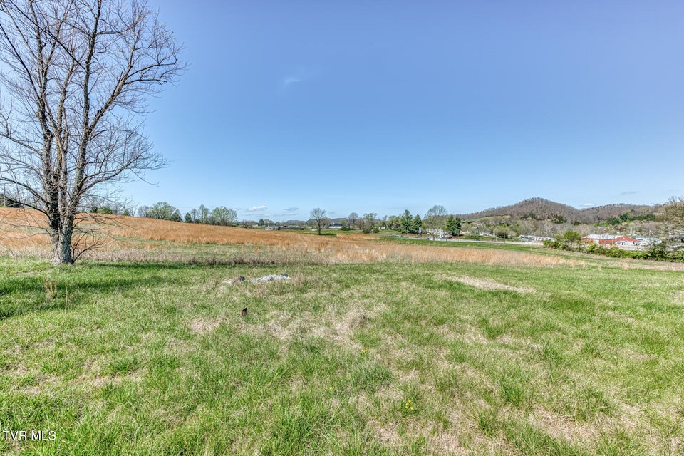 Photo #19: 191 White Top Road