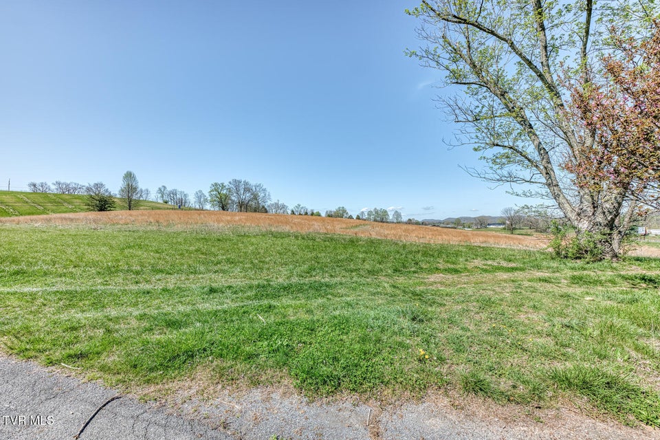 Photo #20: 191 White Top Road