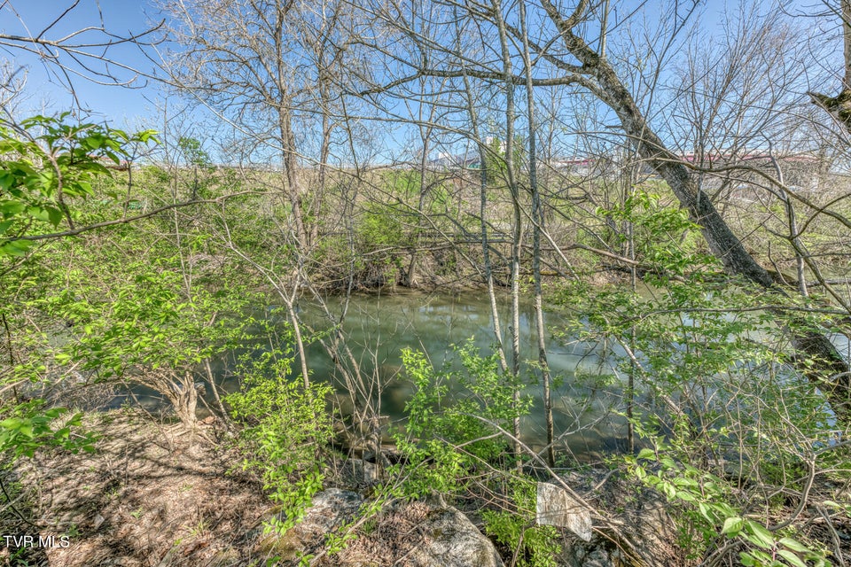 Photo #39: 191 White Top Road