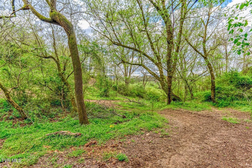 Photo #32: Tbd Cole Lane