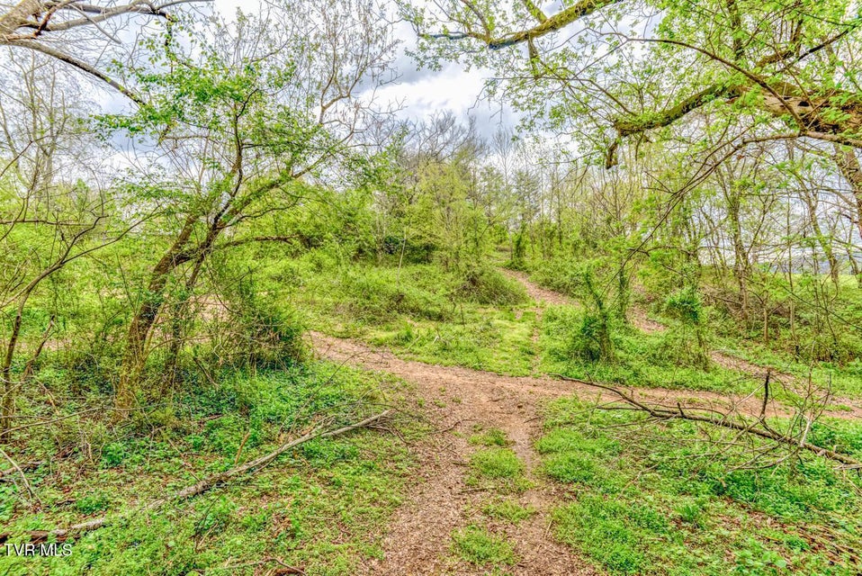 Photo #33: Tbd Cole Lane