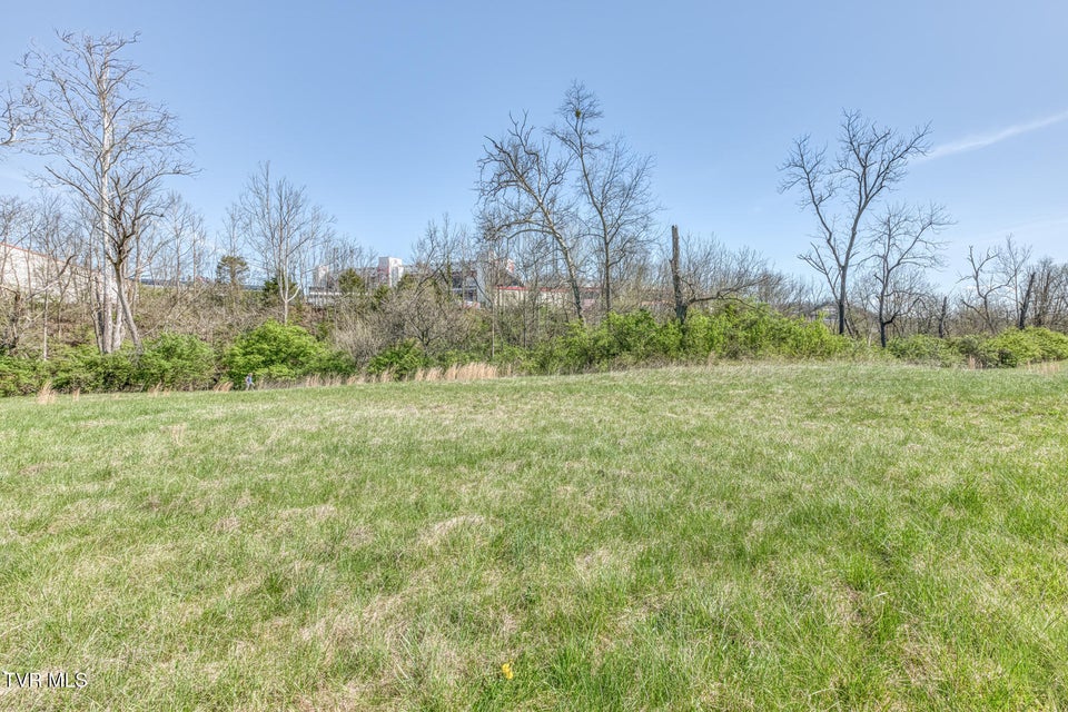 Photo #47: 191 White Top Road