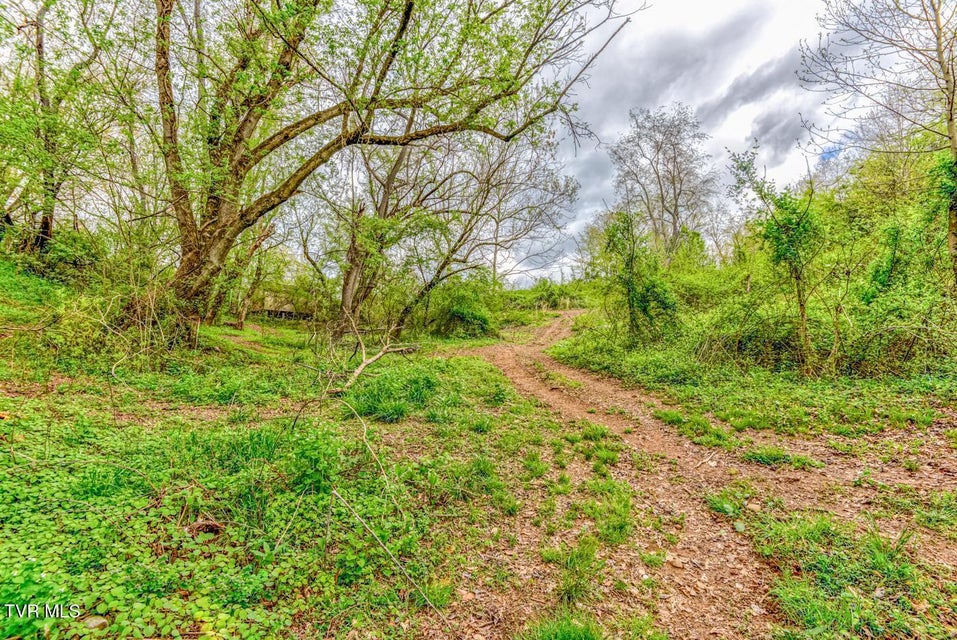 Photo #34: Tbd Cole Lane