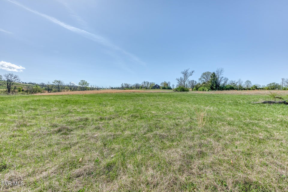 Photo #49: 191 White Top Road