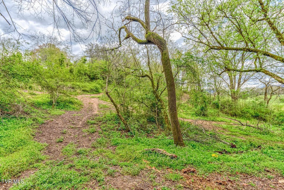 Photo #35: Tbd Cole Lane