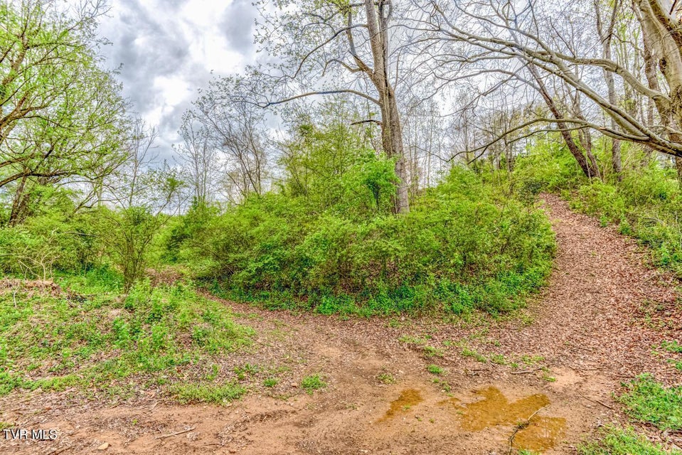 Photo #36: Tbd Cole Lane