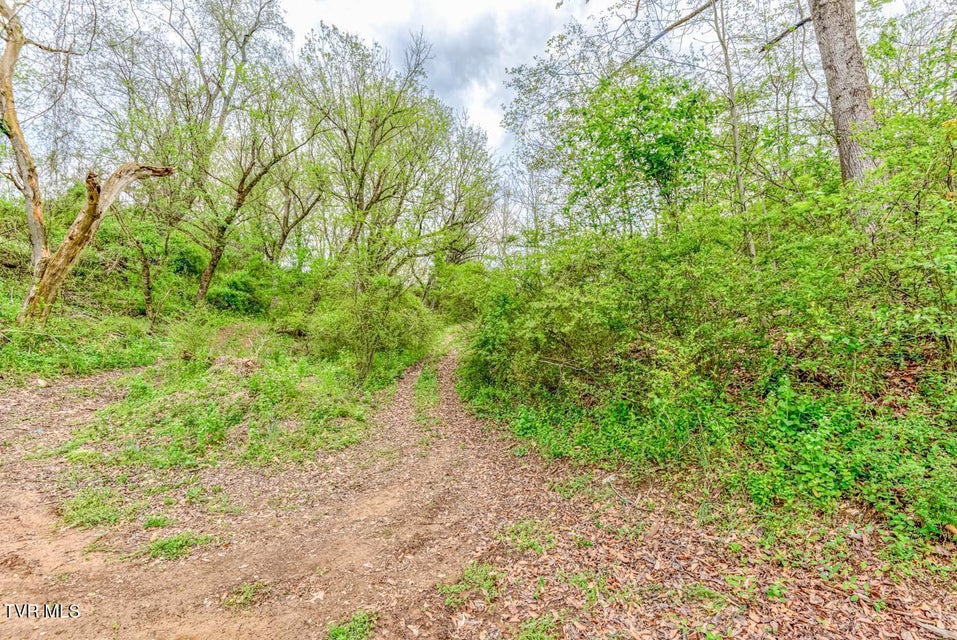 Photo #37: Tbd Cole Lane