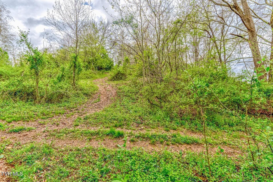 Photo #38: Tbd Cole Lane