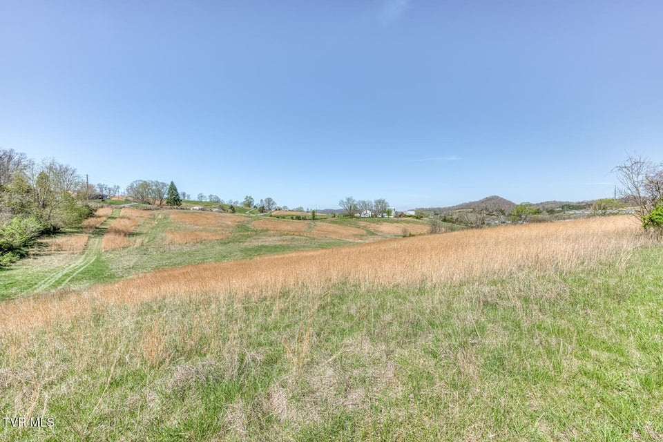 Photo #61: 191 White Top Road