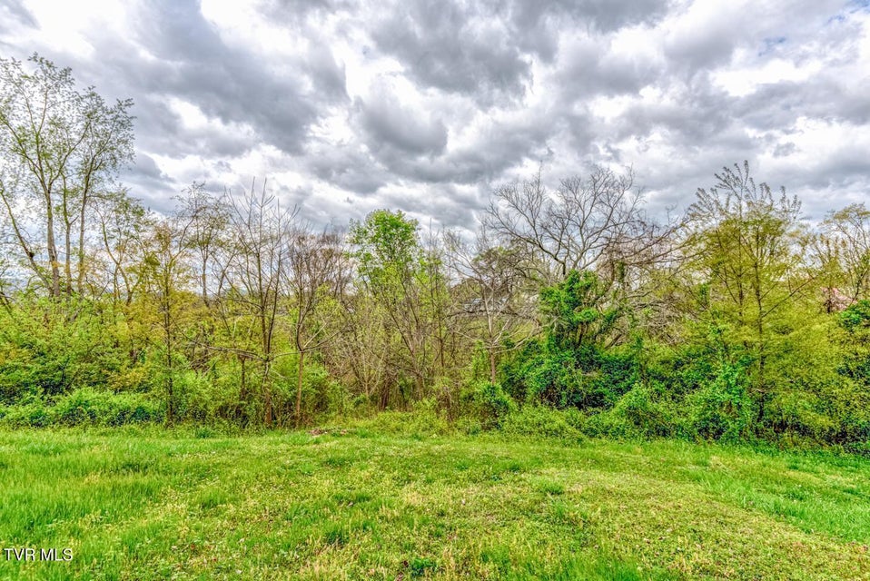 Photo #5: Tbd Cole Lane