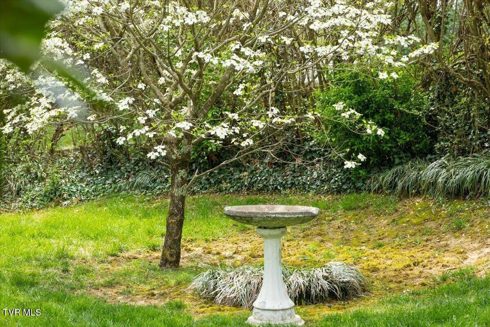 Photo #56: 219 Gilmer Park