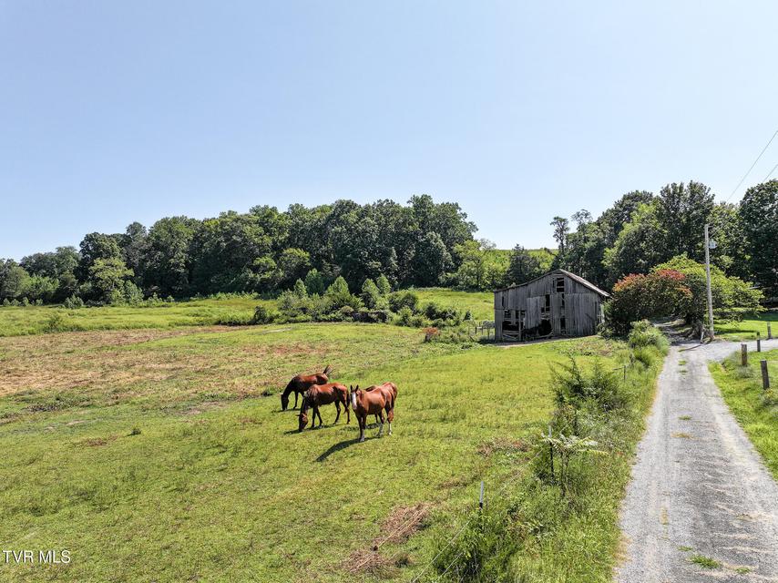 Photo #11: 32ac Blake Lane