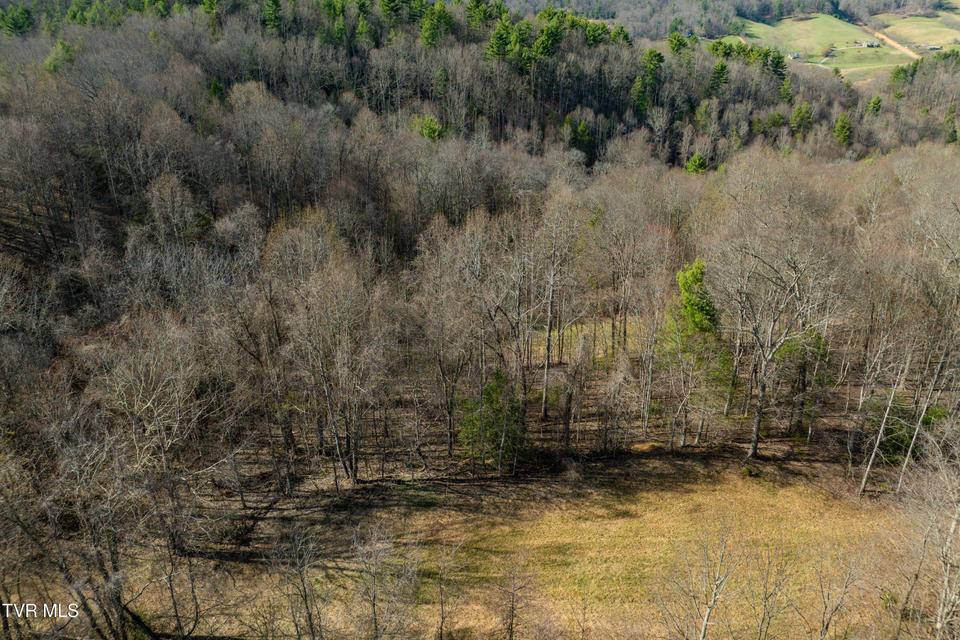 Photo #18: Tbd Big Dry Run Road