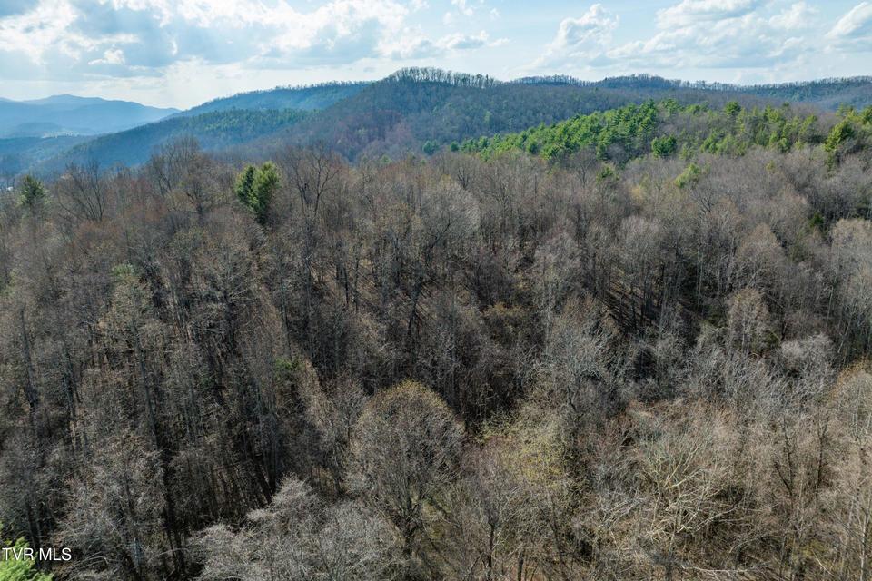 Photo #19: Tbd Big Dry Run Road