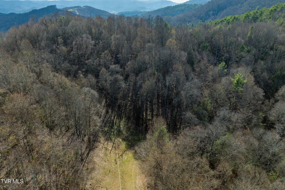 Photo #23: Tbd Big Dry Run Road