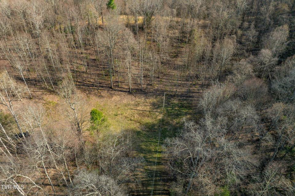 Photo #24: Tbd Big Dry Run Road