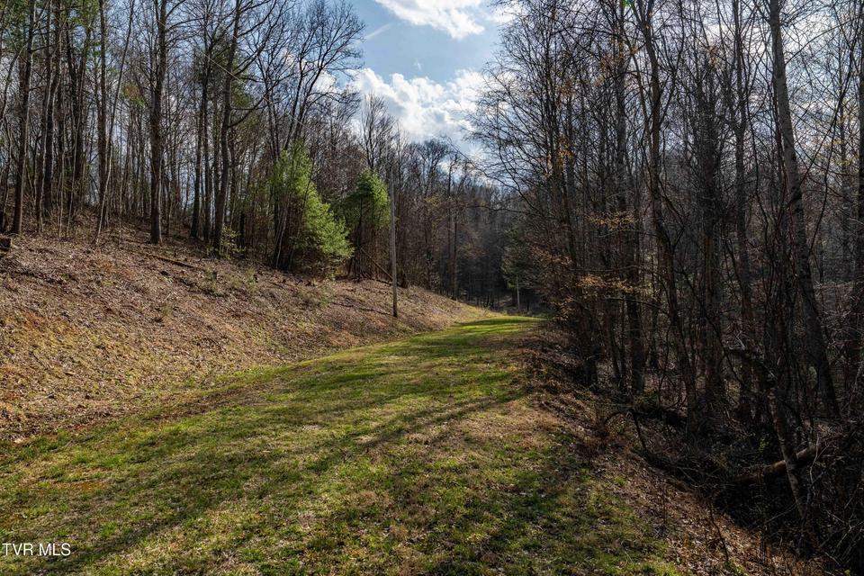 Photo #27: Tbd Big Dry Run Road